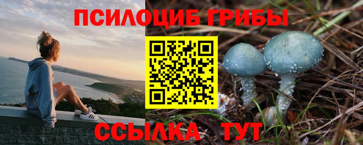 Галлюциногенные грибы GOLDEN TEACHER Лабытнанги