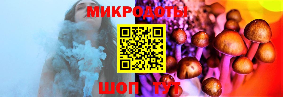 Псилоцибиновые грибы Psilocybe  Псилоцибиновые грибы GOLDEN TEACHER  Вход с VPN  Лабытнанги 